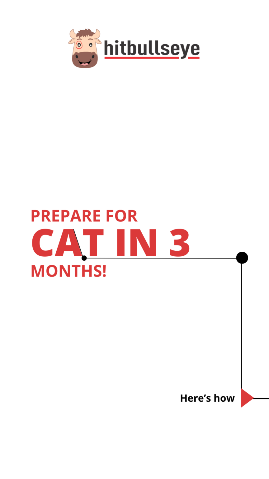 3 months in cat years